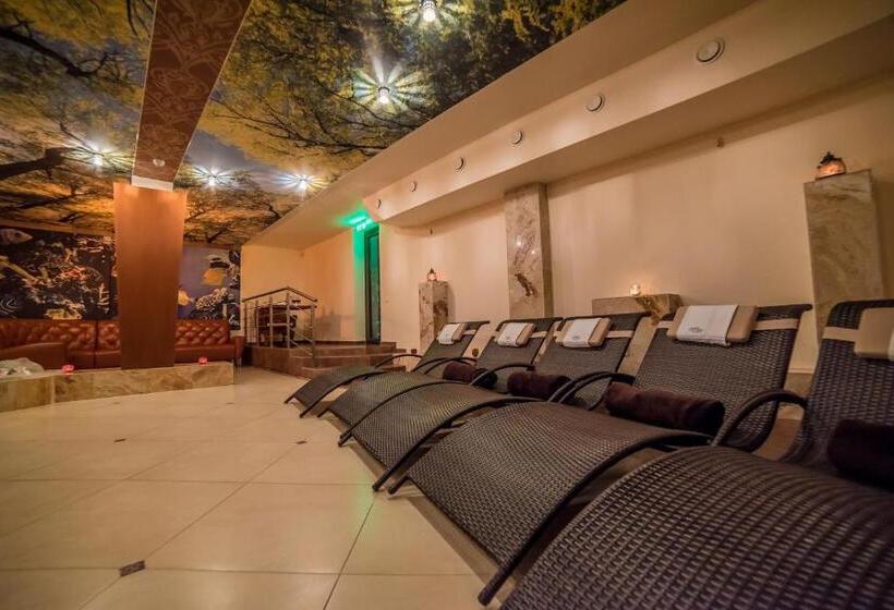 اتاق استاندارد یک نفره, Spa Amber Palace