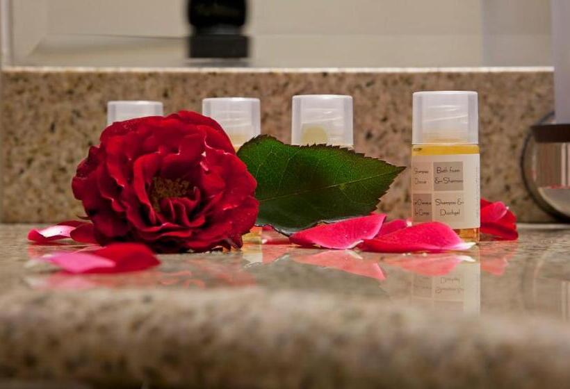 سوییت لوکس, Spa Amber Palace