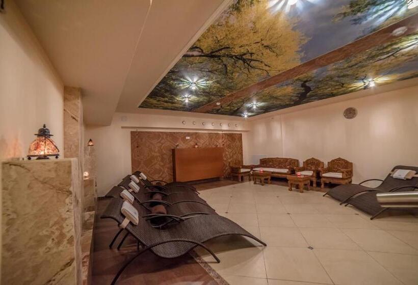 اتاق استاندارد, Spa Amber Palace