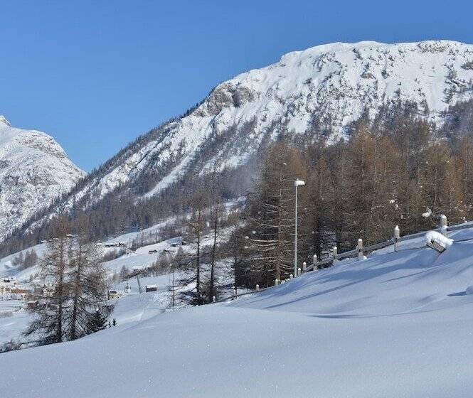 スタンダードルーム, Teola