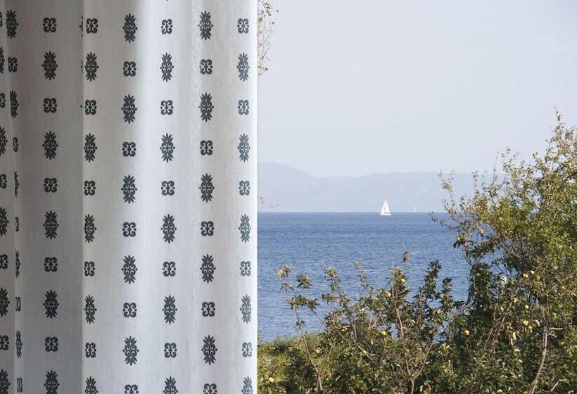 スタンダードルーム, Vontzos