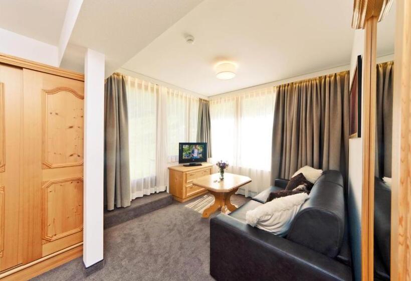 스탠다드 룸, Waldpark Hotel Garni