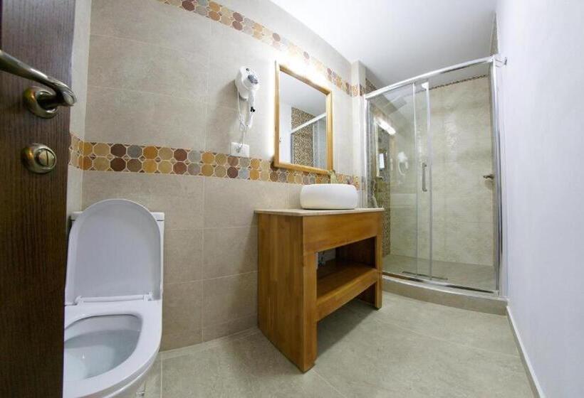 スタンダードルーム, Bucovina Holidays Sadova