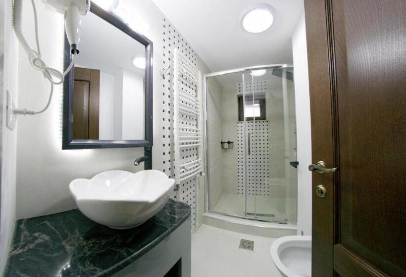 スタンダードルーム, Bucovina Holidays Sadova