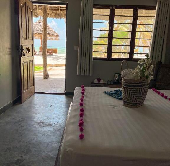 スタンダードルーム, Ndame Paje