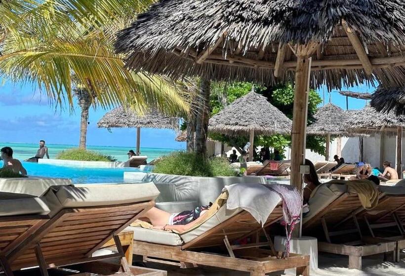 ファミリールーム, Ndame Paje