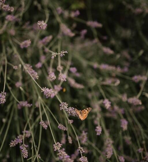 חדר סטנדרט, Al Vecchio Convento Tenuta Malvolti