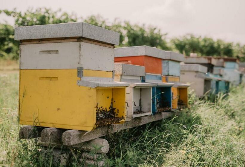 חדר סטנדרט, Al Vecchio Convento Tenuta Malvolti