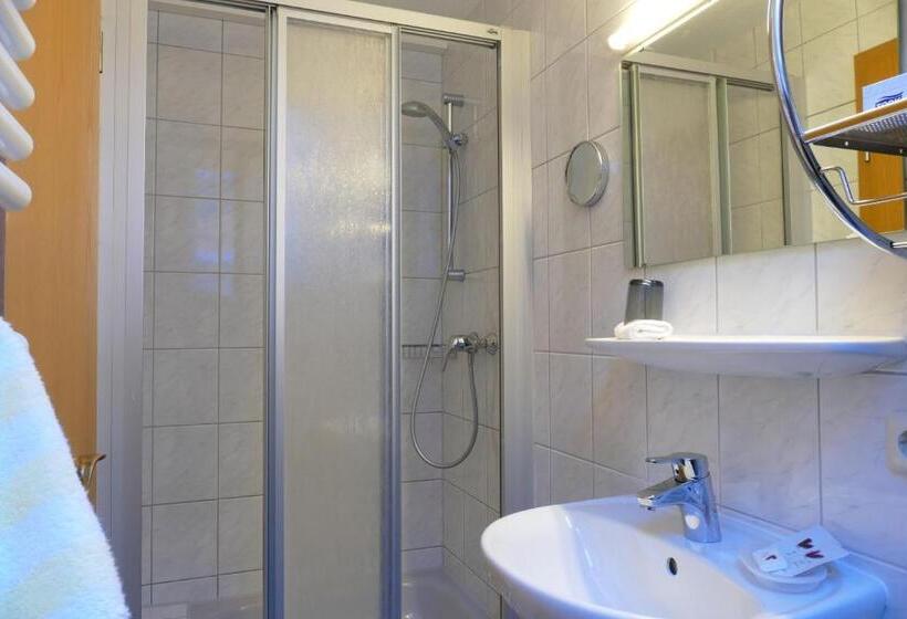 Номер Стандарт Индивидуальный, Altstadt Hotel Zum Hechten