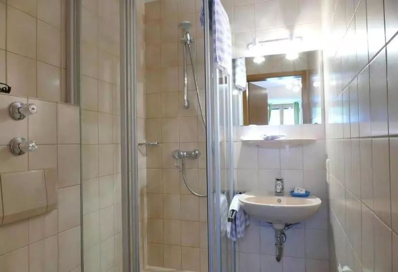 スタンダードシングルルーム, Altstadt Hotel Zum Hechten