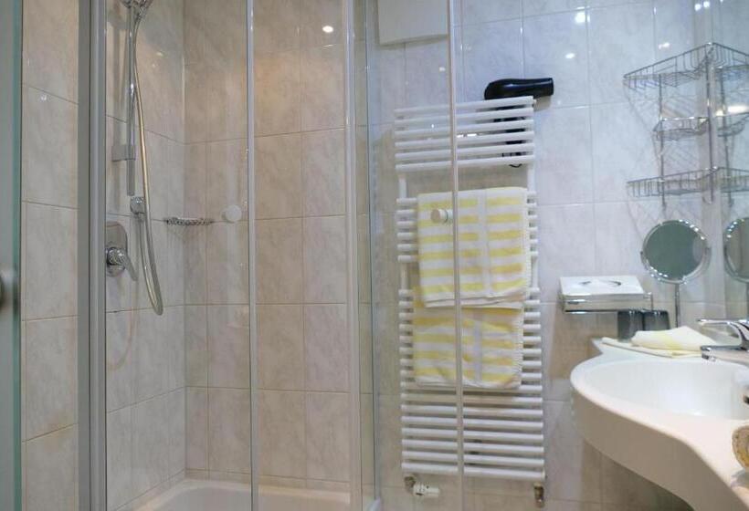 غرفة سوبيريور, Altstadt Hotel Zum Hechten