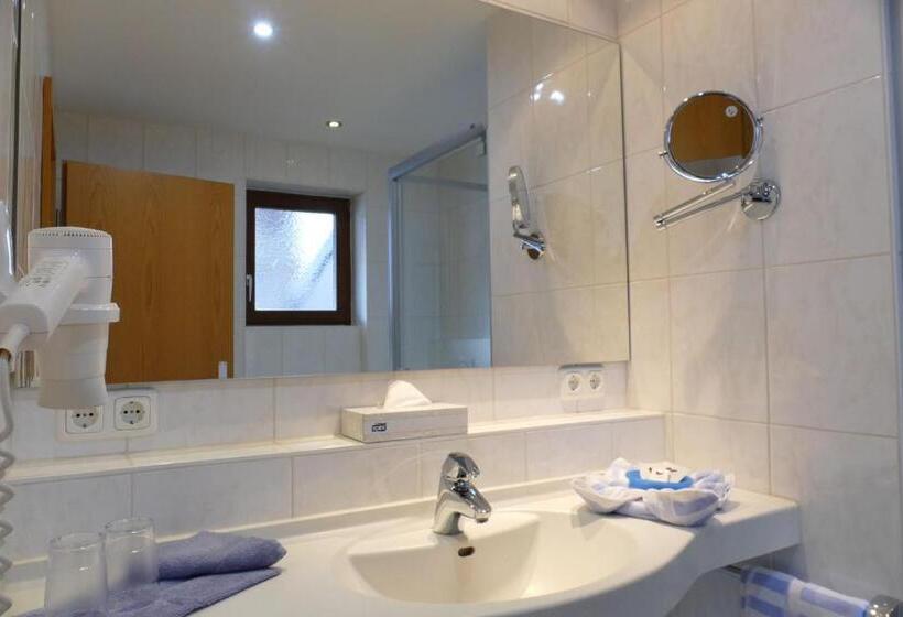 חדר סופריור, Altstadt Hotel Zum Hechten