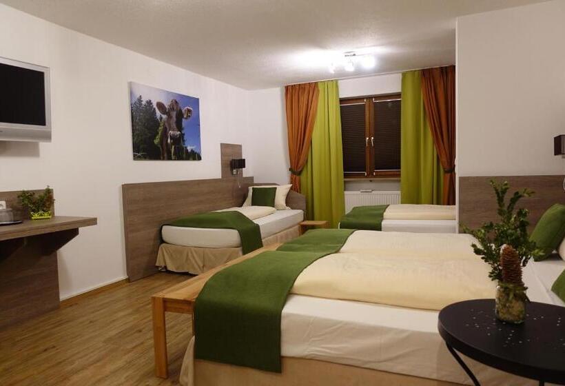 חדר סטנדרט לארבעה, Altstadt Hotel Zum Hechten