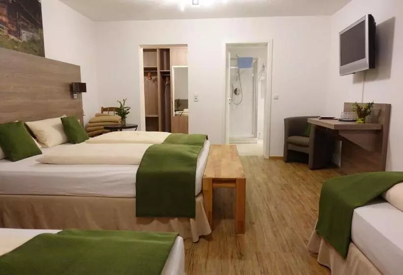 スタンダード4人部屋, Altstadt Hotel Zum Hechten