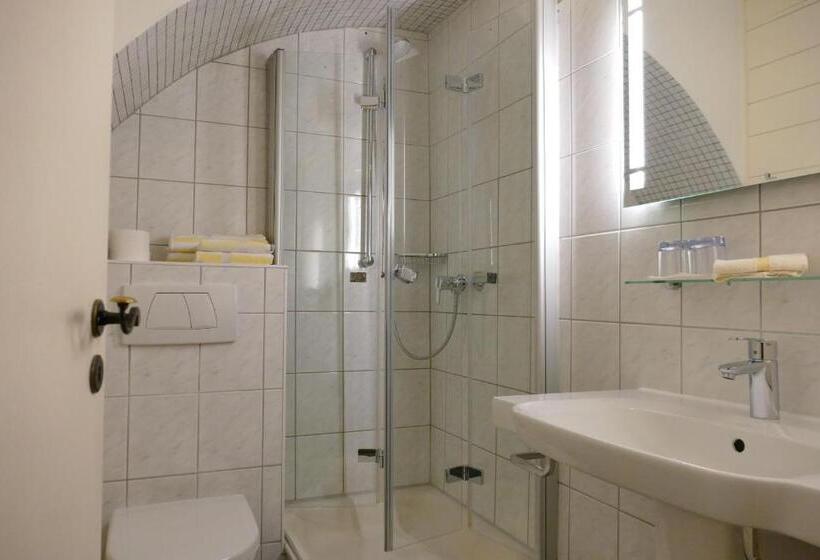 חדר סטנדרט, Altstadt Hotel Zum Hechten