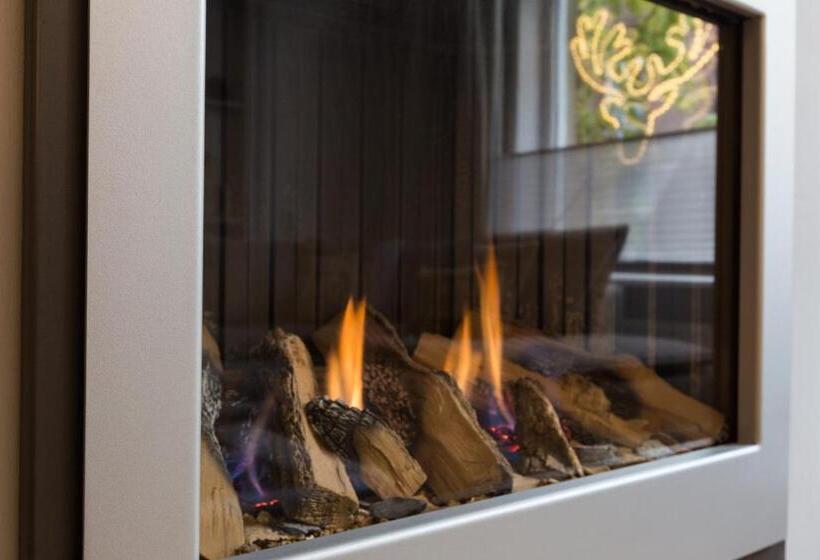 آپارتمان سوپریور 1 خوابه, Boutique Hotel Scheepers