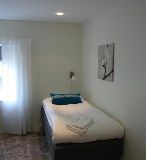 Номер Стандарт Индивидуальный, Flygplatshotellet