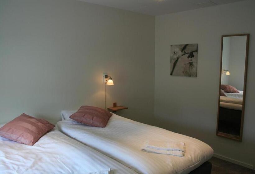 Номер Стандарт, Flygplatshotellet