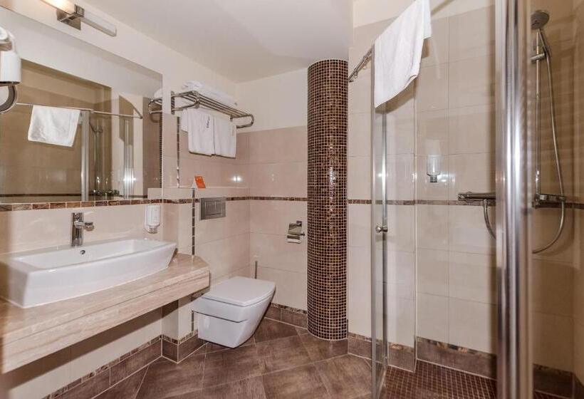 اتاق استاندارد, Elbrus Spa & Wellness