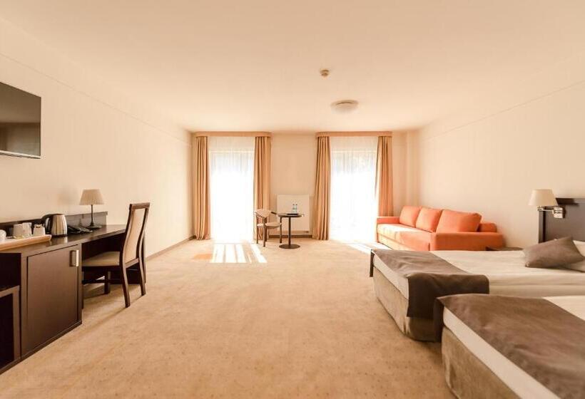 اتاق سوپریور, Elbrus Spa & Wellness