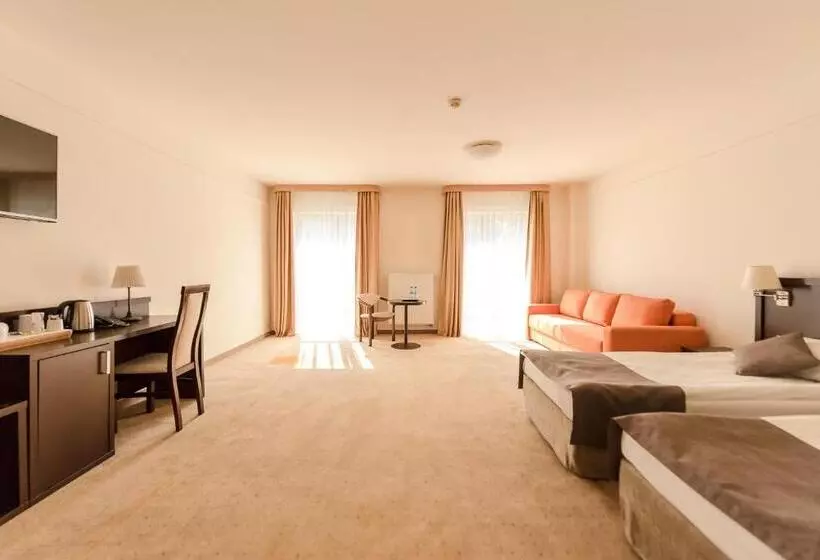 اتاق سوپریور, Elbrus Spa & Wellness