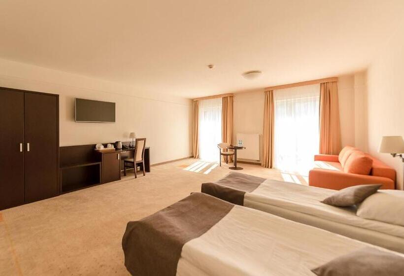 اتاق سوپریور, Elbrus Spa & Wellness