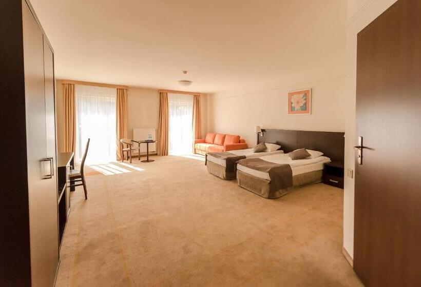 اتاق سوپریور, Elbrus Spa & Wellness