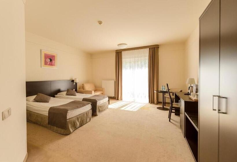 اتاق لوکس, Elbrus Spa & Wellness