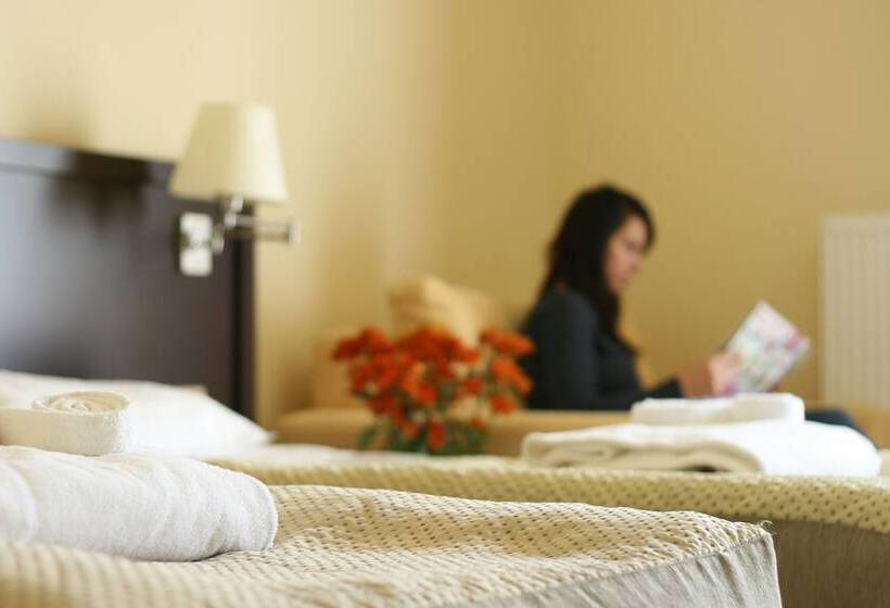 اتاق لوکس, Elbrus Spa & Wellness