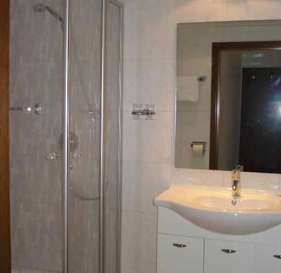 带阳台的标准单人间, Rebstock