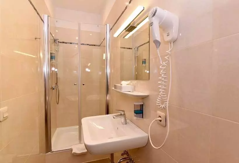 Standard Yhden Hengen Huone, Romerhof