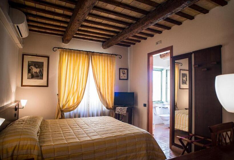 غرفة قياسية, San Claudio