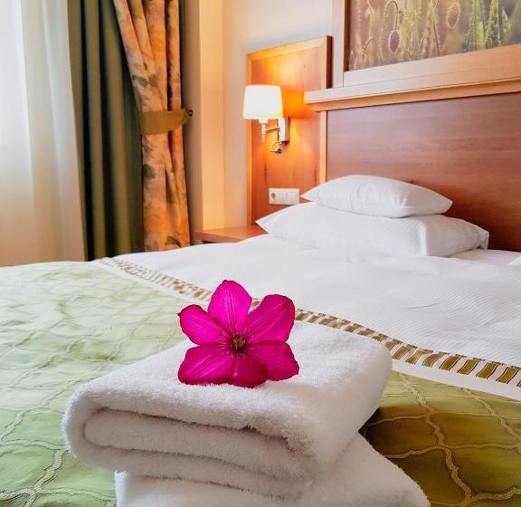 스탠다드 룸, Sonnenhof