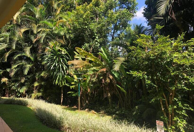 Апартаменты 1 Спальня Вид на Бассейн, Fabuloso Flat 243 Amarílis 2 Piscinas Climatizadas, Sky 170 Canais Carregador Veiculo Elétrico Rivie