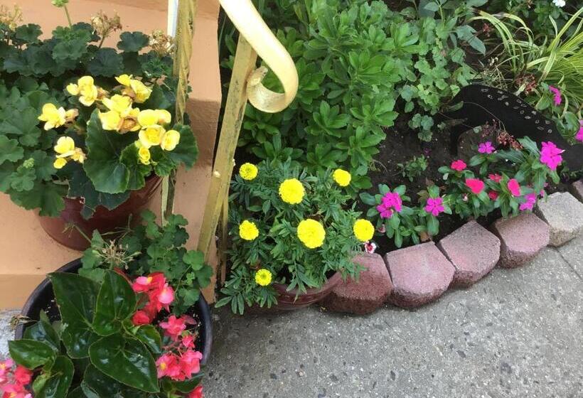 اتاق لوکس, Beautiful Room Near Jfk And Close To Laguardia Airports