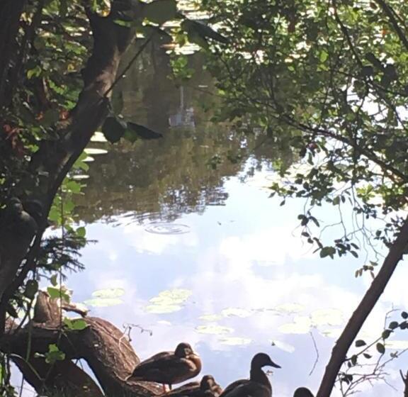סטודיו דלוקס, De Vijverkamer     Privé Diner Op De Kamer Mogelijk!!