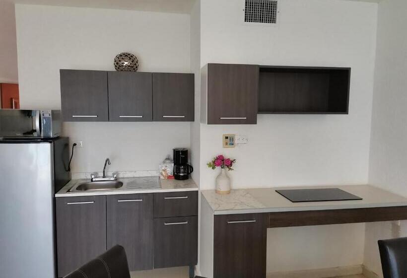海の見えるスタンダードスタジオ, Condominios San Carlos