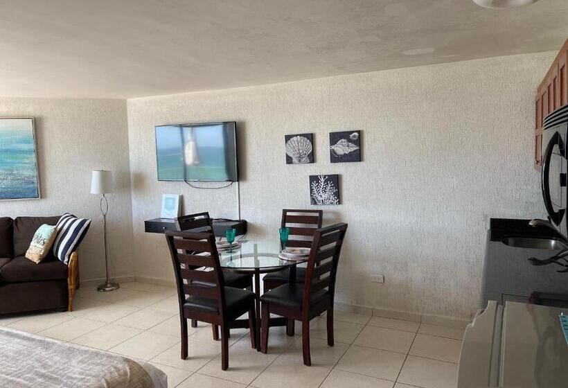 סטודיו דלוקס, Condominios San Carlos