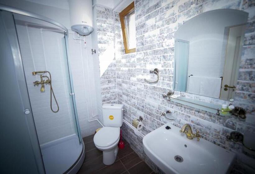 اتاق استاندارد, Casa Baran Vama Veche