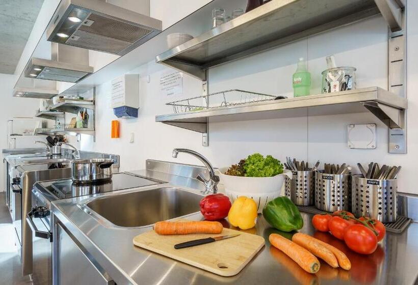 バス共有のスタンダードルーム, Backpackers Villa Sonnenhof Hostel Interlaken