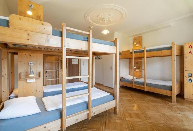 ルームシェアのワンベッド, Backpackers Villa Sonnenhof Hostel Interlaken