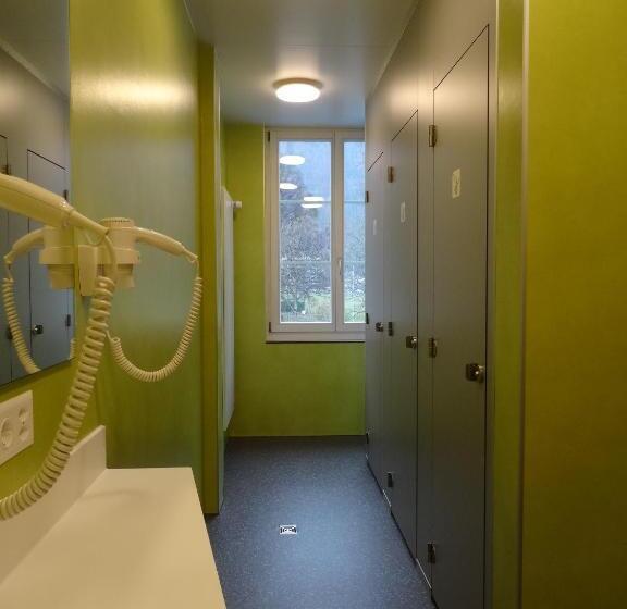 ルームシェアのワンベッド, Backpackers Villa Sonnenhof Hostel Interlaken