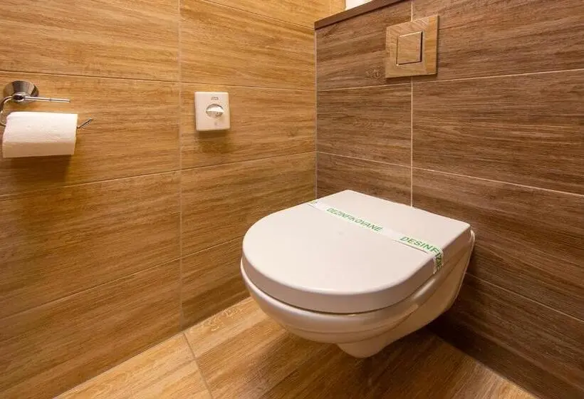 バルコニー付きスタンダードルーム, Wellness Hotel Vinnay