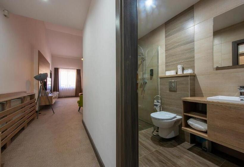 带1个卧室的豪华公寓, Wellness Hotel Vinnay