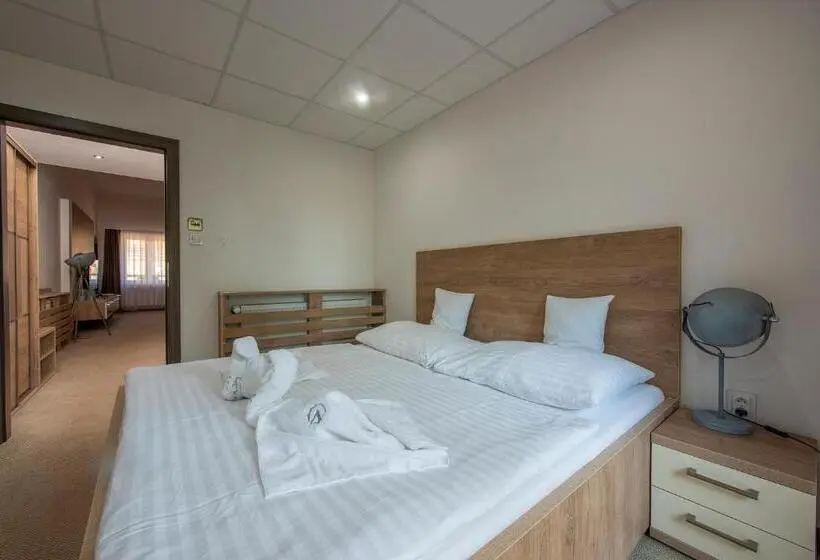 １ベッドルームのデラックスアパートメント, Wellness Hotel Vinnay