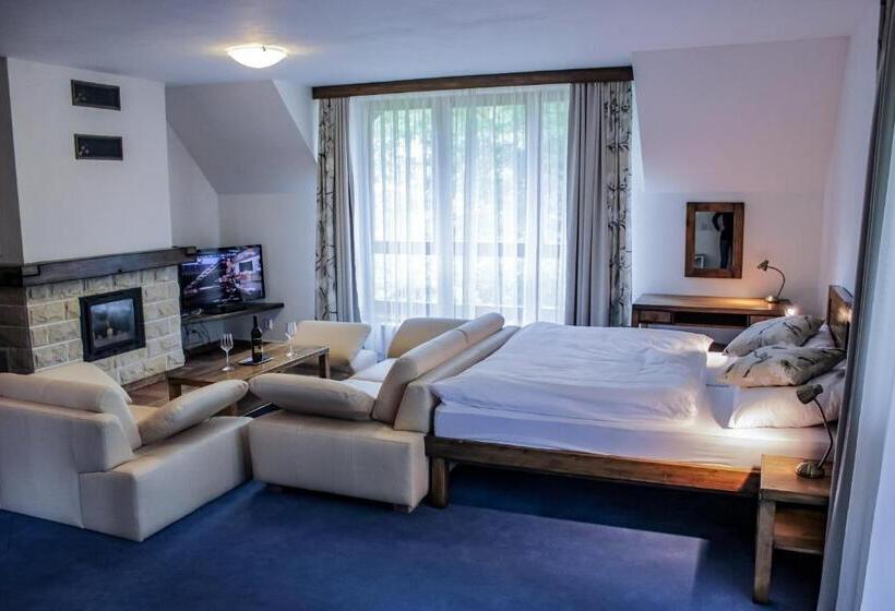 Apartament 1 Dormitor Deluxe, Penzión Teniscentrum