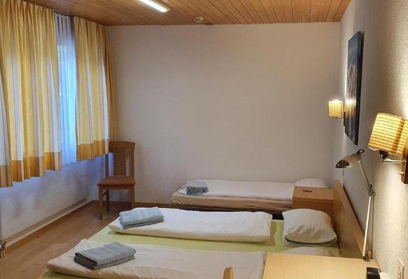 דירה בת חדר שינה 1 עם נוף, Fiescherhof