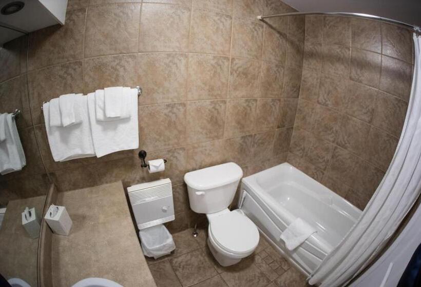 带1个卧室的公寓, Le Montagnard – Auberge/hôtel & Chalets