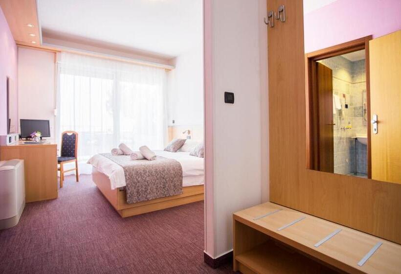 豪华海景房带阳台, More