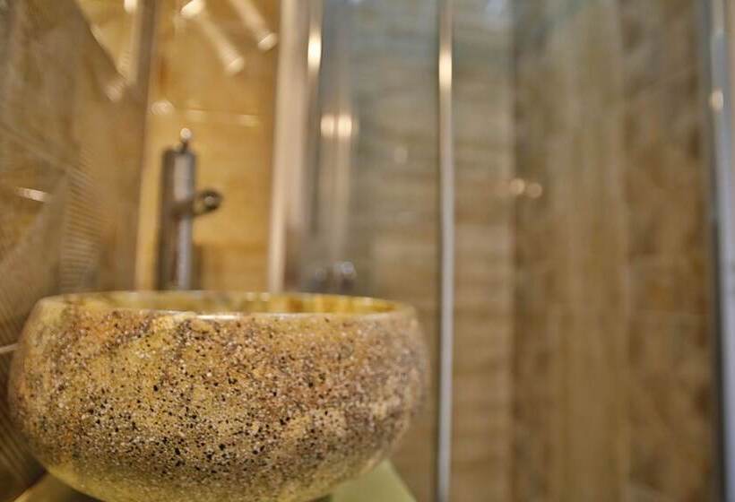 スーペリアシングルルーム, Pensiunea Vidalis